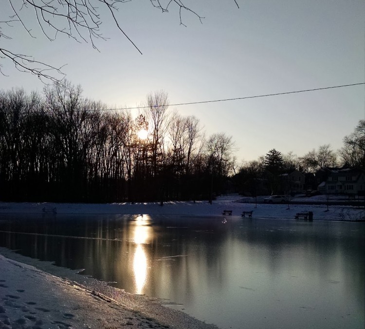 madison-ice-skating-rink-photo